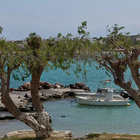 Salt Paros 4*