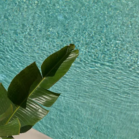 酒店 Salt Paros 4*